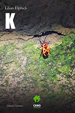 Portada de "Falsificaciones"